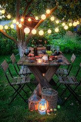 Rustic table with wine and in the summer evening