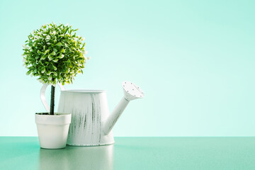  Gardening concept with watering can and green tree in pot on mint background with place for text.