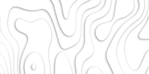 Abstract white paper cut shapes background with shadow and topography map concept. Abstract realistic Papercut decoration background. Vector illustration.