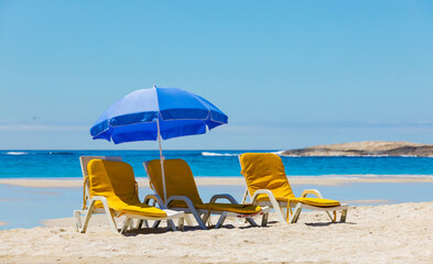 Lounger chairs and parasol umbrellas on sandy beach in Cape Town © Sunshine Seeds
