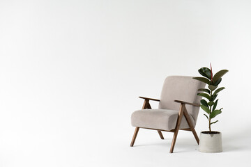 modern interior with comfortable armchair and plant on white background.