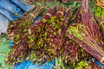 Detail of khat (qat) branches in Ethiopia