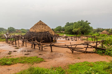 Fototapeta na wymiar Hut in a village of Hamer tribe near Turmi, Ethiopia