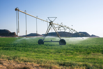 fully automated irrigation systems enable agriculture in the desert landscapes of Arabia