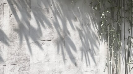 Modern, minimal blank beige wall with green bamboo palm tree in sunlight, leaf shadow generative Ai organic cosmetic, skin care, beauty treatment product 