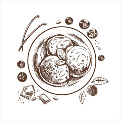 A hand-drawn sketch of an ice cream balls  in a plate with chocolate,  berries, vanilla pods.  Top view. Vintage illustration. Element for the design of labels, packaging and postcards.