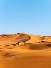 Fototapeta na wymiar Stunning sand dunes near Merzouga, Morocco during sunset - Portrait shot 6