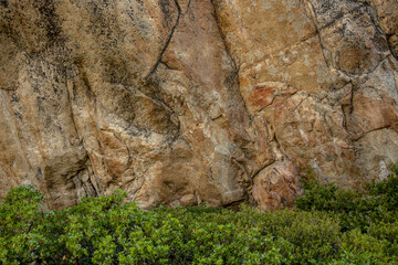 Contrast of Green Bushes and Orange Stone Wall