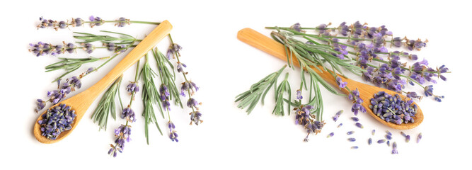 sprigs of fresh lavender and dried in spoon isolated on white background