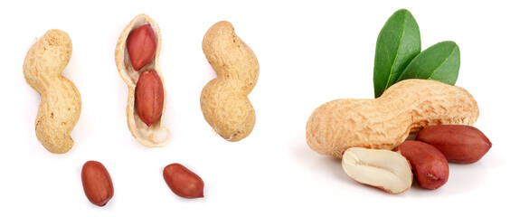 Peanuts. Nuts in shell and peeled isolated on white background. Collection or set. Full depth of field