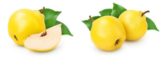 Fresh quince with leaf isolated on the white background with  full depth of field