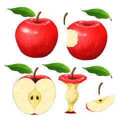 Fresh Apple, Apples with green leaf. hand drawn illustration, isolated on white background