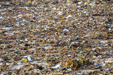 trash strewn on the beach