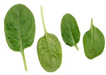 Green spinach leaves on a white isolated background, an ingredient for salad
