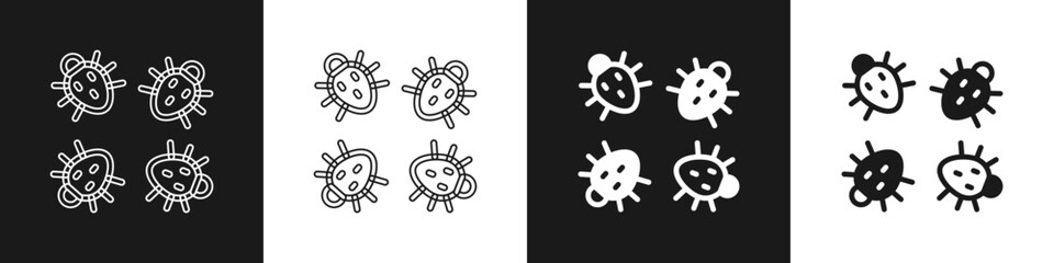 Fototapeta premium Set Colorado beetle icon isolated on black and white background. Vector