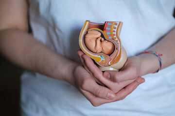 nurturing doula holds a replica of an embryo in the womb, showcasing her dedication to assisting...