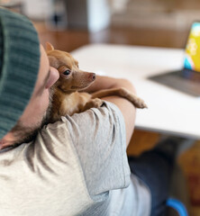 Pet owner hugging her little dog gently.