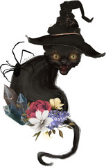 Witchcraft illustration of black cat in a witch hat and black spider with flowers and magical crystals