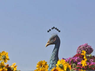 Artificial peacock in Dubai miracle garden