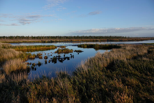 Naturschutzgebiet Anklamer Stadtbruch in der Abendsonne	
