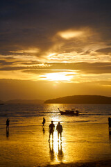 Sunset on the seashore.People are looking for beautiful shells on the bottom at low tide