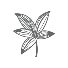 Lily flowers coloring books Make Line art, hand-drawn illustrations.Perfect for creating coloring pages, coloring books, enchanting holiday invitations, and other creative projects.