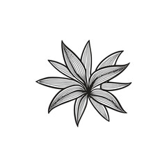 Lily flowers coloring books Make Line art, hand-drawn illustrations.Perfect for creating coloring pages, coloring books, enchanting holiday invitations, and other creative projects.