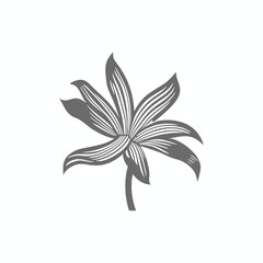 Lily flowers coloring books Make Line art, hand-drawn illustrations.Perfect for creating coloring pages, coloring books, enchanting holiday invitations, and other creative projects.