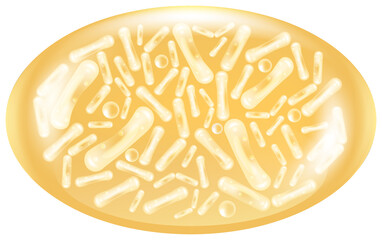 Probiotic and Hyaluronic acid skin solutions, gold collagen, and vitamin serum drop