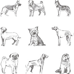 dog art vector design free download 