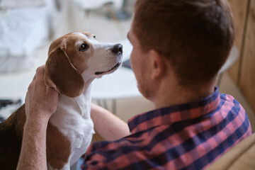 calming effect of hugging a beloved Beagle. Strategies for stress relief, adopting shelter dogs,...