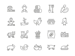 Agriculture line icons. Farm symbols. Farmer and harvest tractor. Livestock like cow and pig. Eco chicken food. Farming field scarecrow. Agronomy outline signs. Vector stroke pictograms set