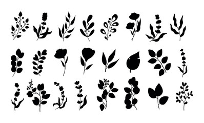 Spring herbs, black leaves silhouette, twig branches. Summer plants, eucalyptus , lavender and different berries, sprig and olive, cute flowers, palm bush. Vector illustration isolated set