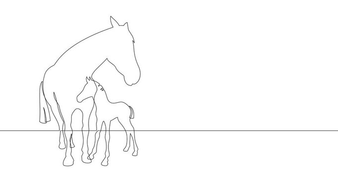 Animation of an image drawn with a continuous line. The mare and her foal.