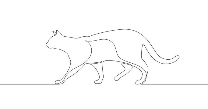 Animation of an image drawn with a continuous line. Walking cat.