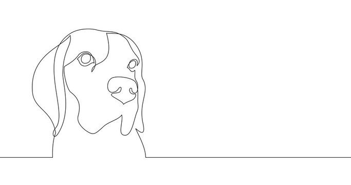 Animation of an image drawn with a continuous line. The head of a dog. Beagle.

