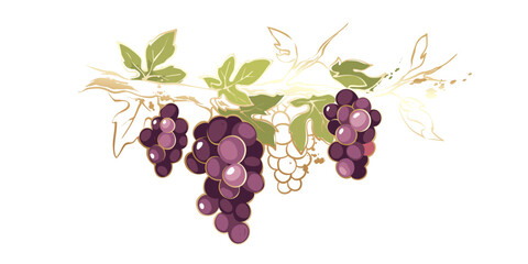 Grapevine  with golden brush strokes. Vector illustration, design elements with a branch vine with leaves and purple berries. Freehand drawing in watercolor style.
