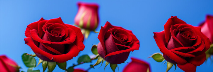 Illustration of a bouquet of red roses against a blue background created with Generative AI technology