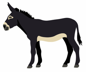 Dark donkey vector cartoon illustration isolated on white
