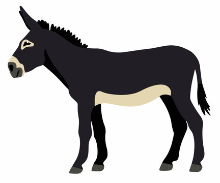 Dark donkey vector cartoon illustration isolated on white