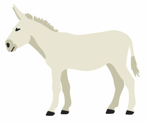White donkey vector cartoon illustration isolated on white
