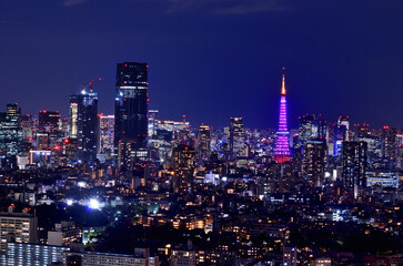 Fototapeta na wymiar 恵比寿ガーデンプレイスから見た桜開花宣言の東京タワーと都市の夜景