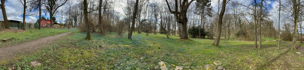Naklejka premium Frühling in Nordhausen - im Förstemannpark