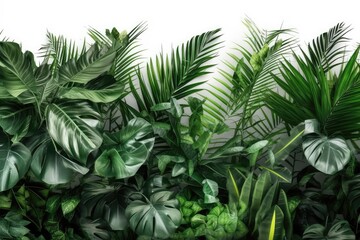 Green tropical leaves border