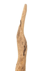 Part of driftwood isolated on white