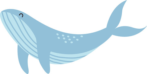 Whale Cute Animal Cartoon Illustration