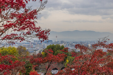 京都府　清水寺から望む京都の街並み　
