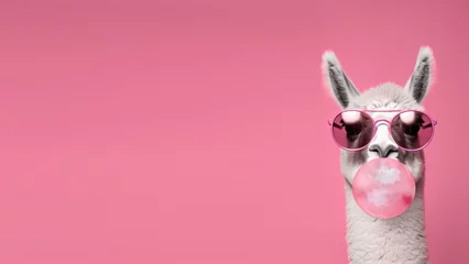Foto op Aluminium Cute lama alpaca with bubblegum in trendy pink sunglasses, isolated on pink background with copyspace. Generative AI © lena.livaya