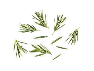 fresh rosemary isolated on transparent png