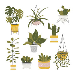 Collection of decorative houseplants isolated on white background. Bundle of trendy plants growing in pots or planters. Set of beautiful natural home decorations. Flat colorful vector illustration.